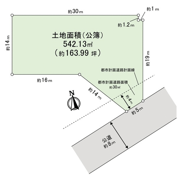 没有建筑条件。用地的约30平方米依靠在城市规划道路上。