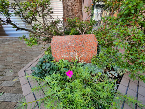 エクレーヌ本駒込