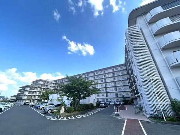 シャルム大津 1枚目 シャルム大津