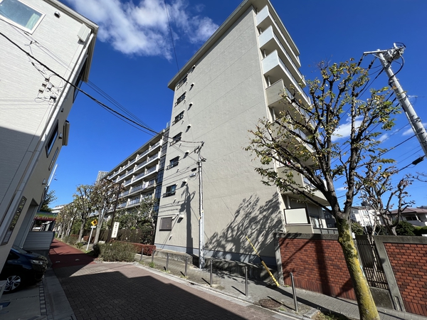 葛飾ビューハイツ