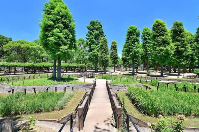 「区立しょうぶ沼公園」まで徒歩3分（約220ｍ）