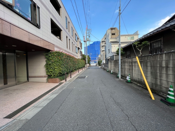 【ロイヤルパレス山王】前面道路