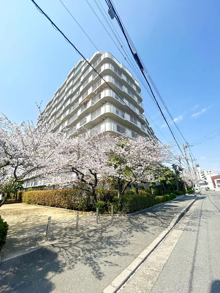 【エクセラート平野】外観
