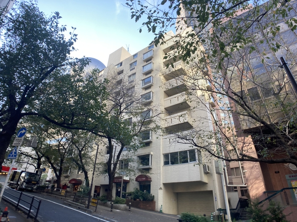 新南平台マンション 2枚目 新南平台マンション