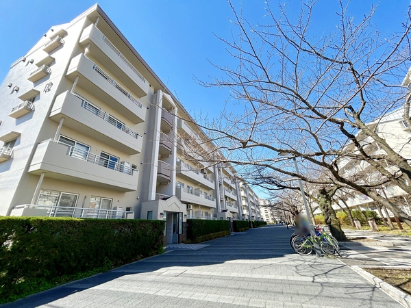 新蓮根団地
