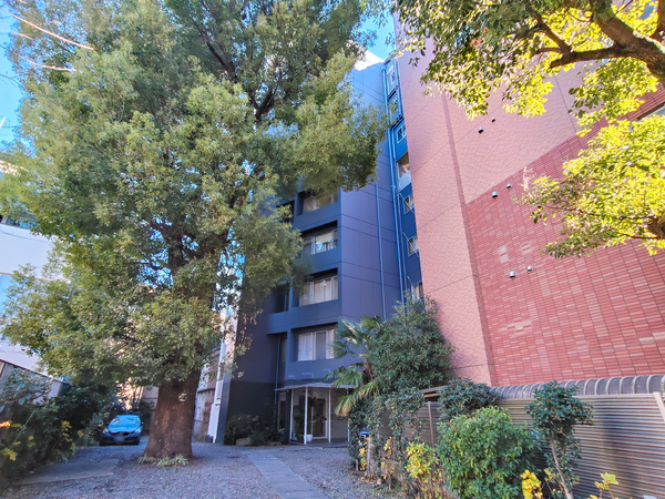 【樹林館】外観