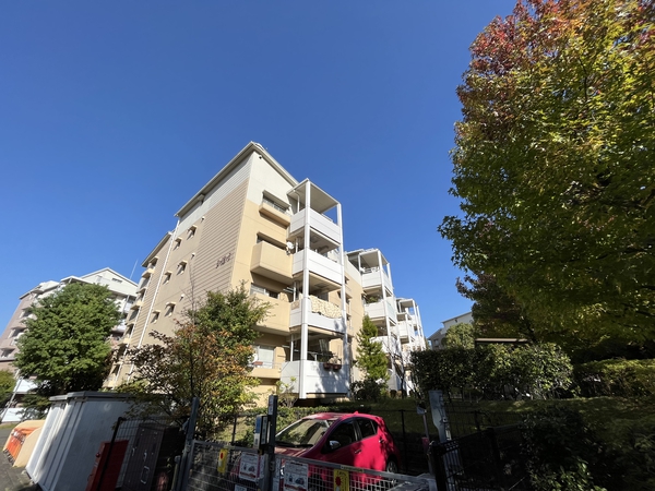 南大沢学園五番街３－１２－７