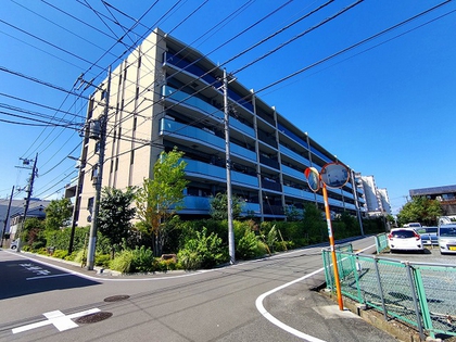 外観 外観