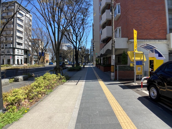 【チサンマンション青葉通り】前面道路