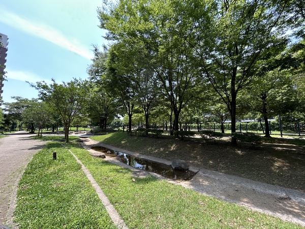 うねうね公園　約350ｍ