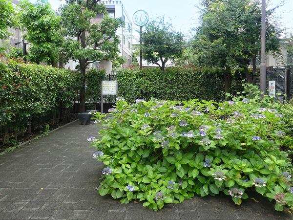 北三もみじ公園まで約69m(徒歩1分)