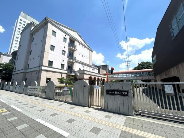 さいたま市立桜木小学校　約510m