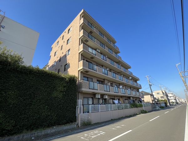 セザール新狭山