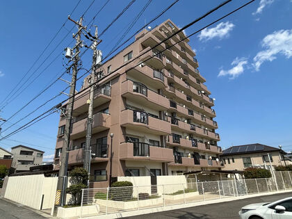 外観 外観