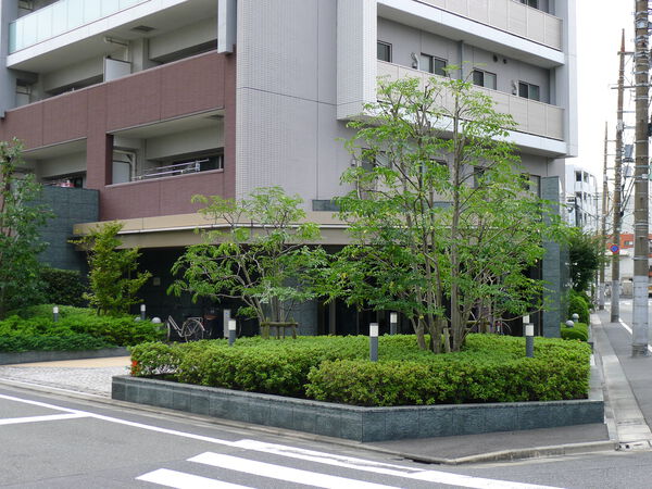 アデニウム大鳥居 3枚目 アデニウム大鳥居