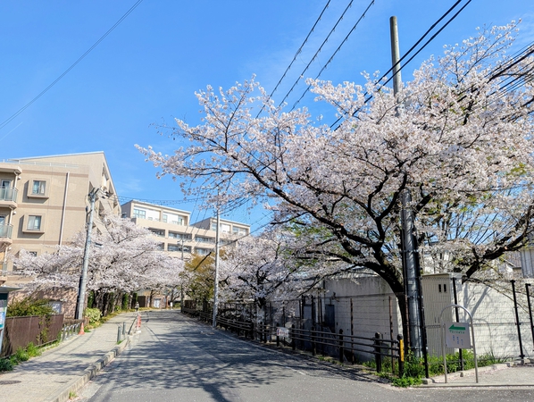 【ルネシーズンズ千里の丘】外観