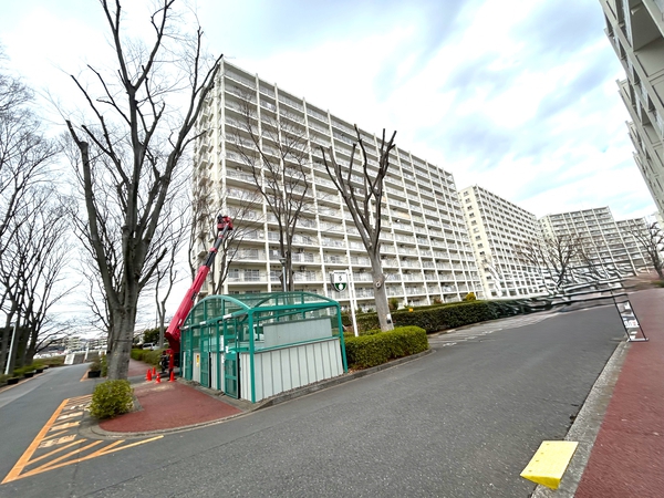 【志木ニュータウン中央の森参番街】中央の森参番街8号棟 【志木ニュータウン中央の森参番街】中央の森参番街8号棟