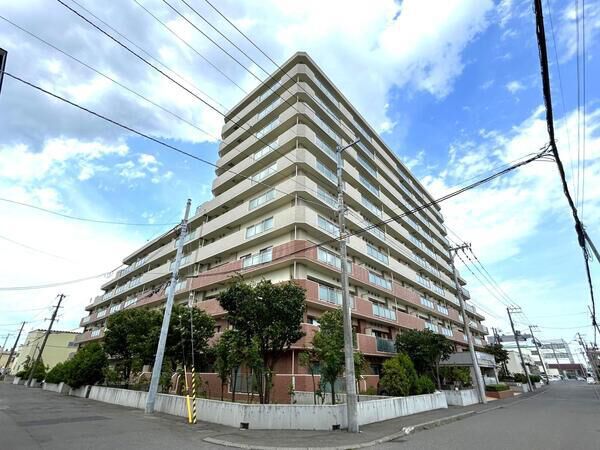 クルーザーバレー白石