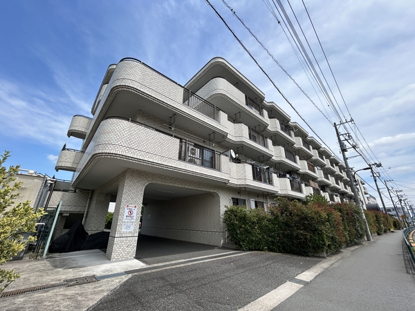 セルバ大蔵