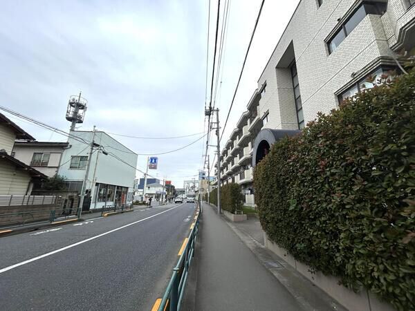 【セルバ大蔵】前面道路