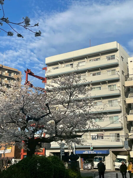 【日東コーポ言問】外観