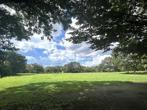 柏の宮公園　現地より約300m
