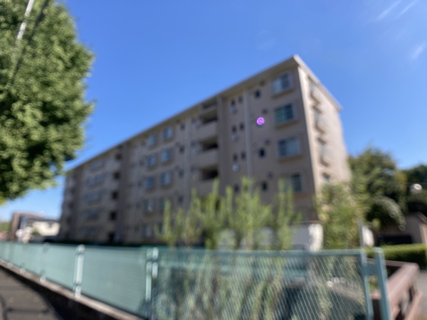 鷺沼メイプル