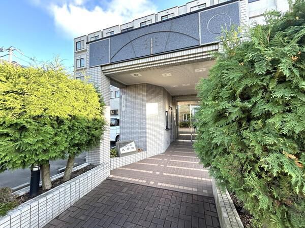 ドミール大谷地