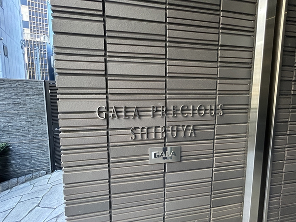 ガーラ・プレシャス渋谷 5枚目 ガーラ・プレシャス渋谷