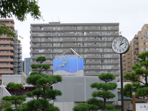 大森海岸ハウス 2枚目 大森海岸ハウス
