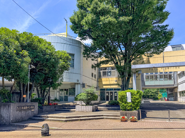 杉並第十小学校まで約650m(徒歩9分) 杉並第十小学校まで約650m(徒歩9分)