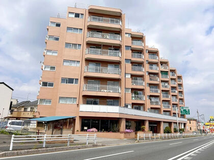 外観 外観
