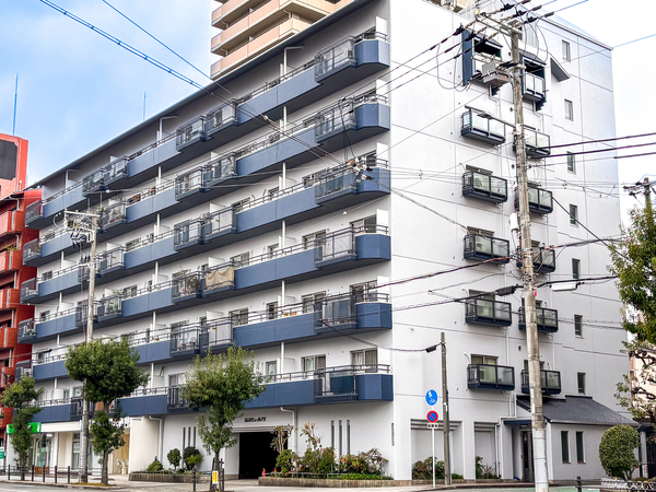 【堂ケ芝ビューハイツ】外観