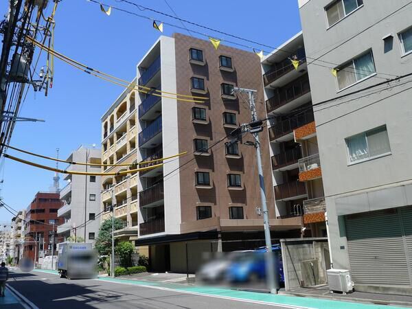 ウィルローズ菊川