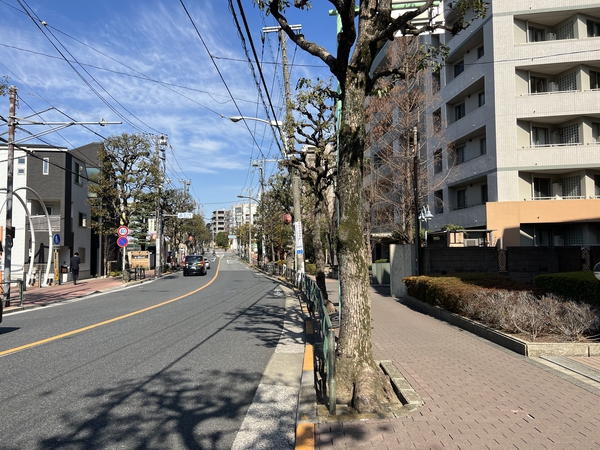 【ヒルズ山王】前面道路