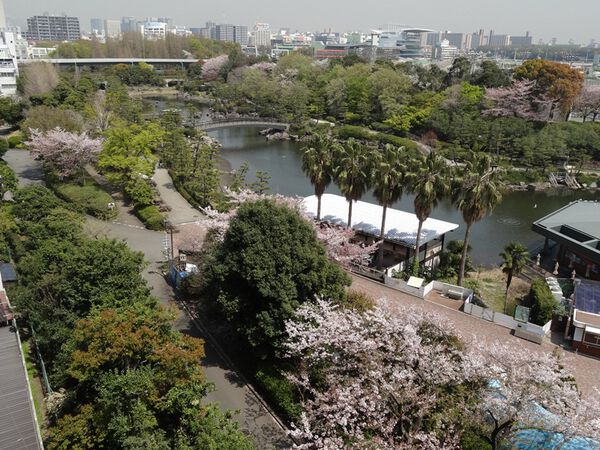 しながわ区民公園