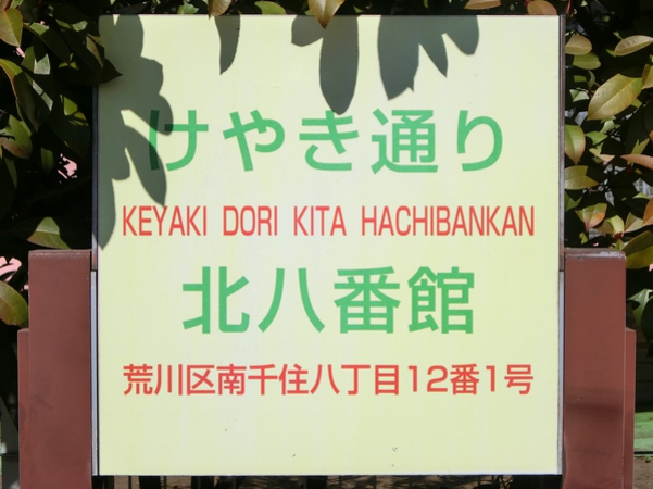 【けやき通り北八番館】エンブレム