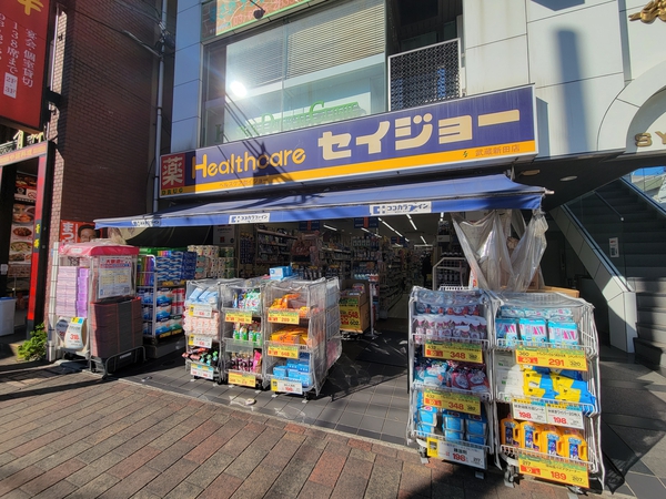 くすりセイジョ―武蔵新田