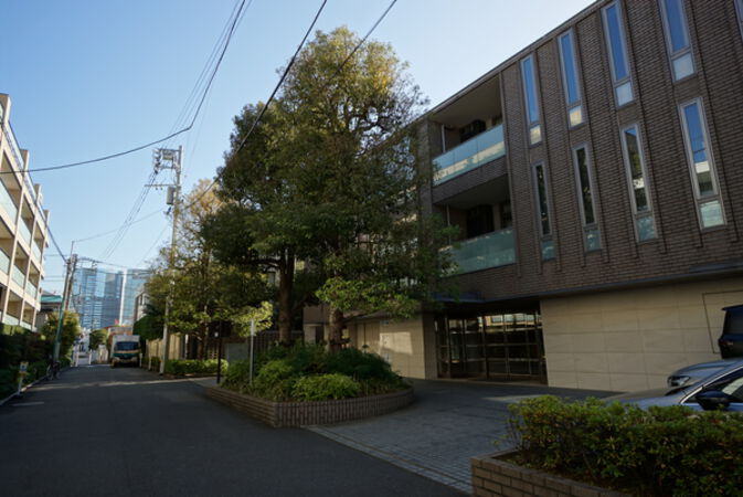 北西側からの前面道路の雰囲気
