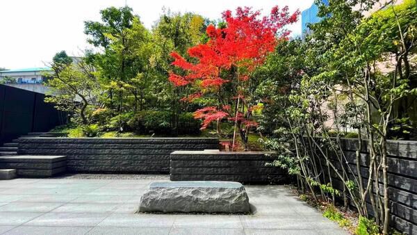 【ウェリスタワー愛宕虎ノ門】敷地内庭園（緑浴の杜）