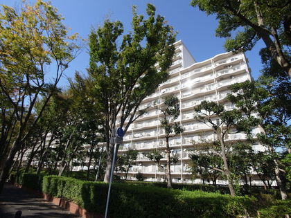 サンライトパストラル五番街 3枚目 サンライトパストラル五番街