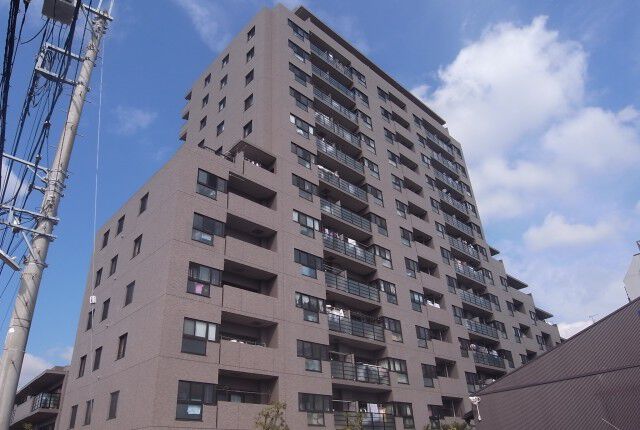 エヴァーグリーン柏