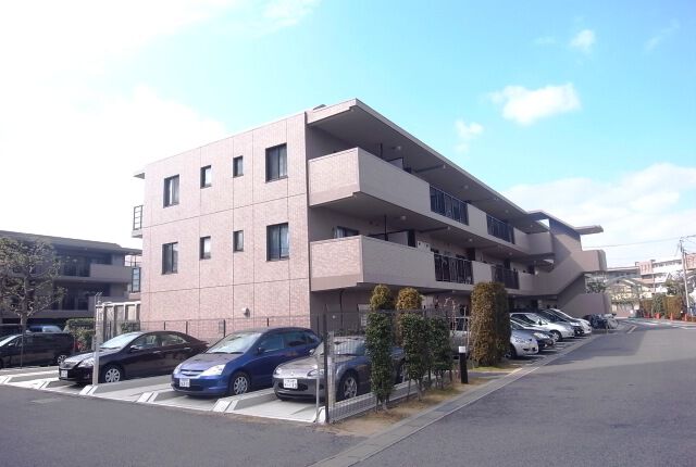 エヴァーグリーン柏