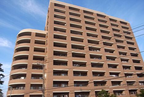 ソフィア柏公園 2枚目 ソフィア柏公園