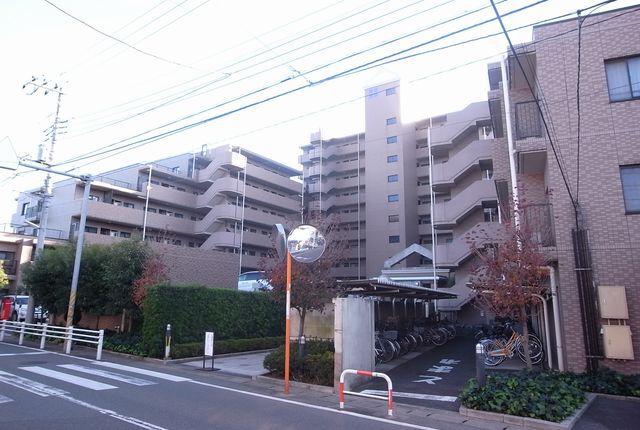 ベルドゥムール南柏
