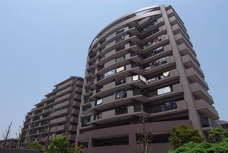 エヴァーグリーンアペックス