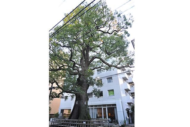 パークハウス楠郷臺
