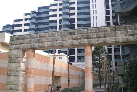 ルネキューヴィス