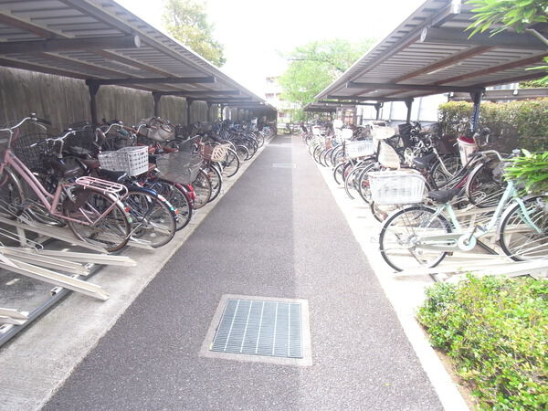 【川口ティーブルー】駐輪場
