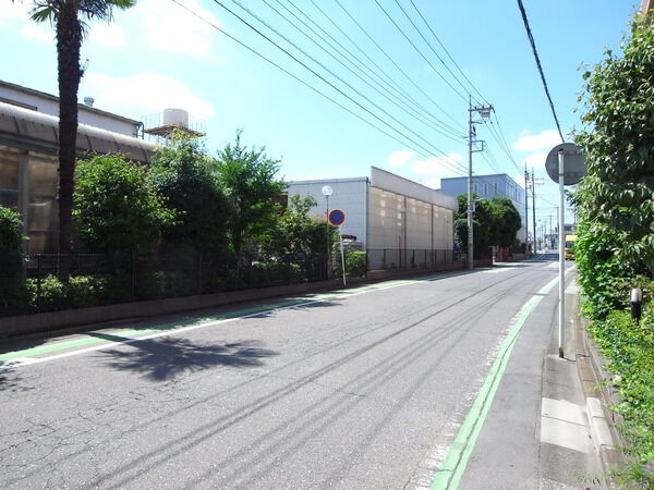 【レクセルプラザ東所沢】前面道路